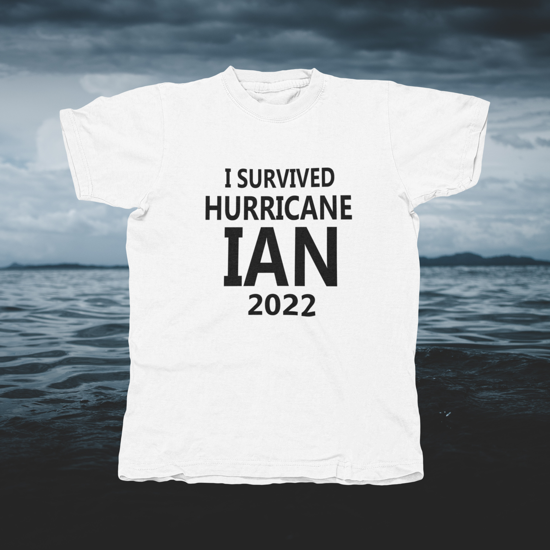 I Survived Hurricane Ian 2022 - Black - front of tee